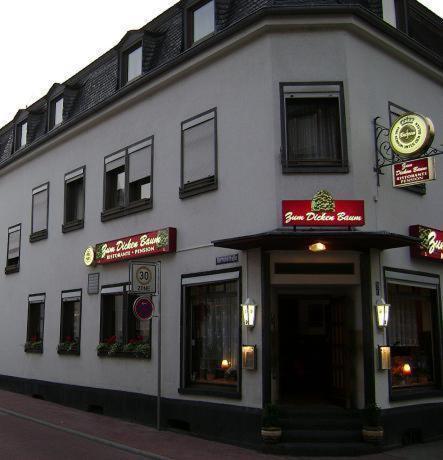 Hotel Zum Dicken Baum Mayen Zewnętrze zdjęcie